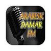 undefined Arabesk Damar FM