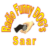 undefined Funny-Dogs-Saar