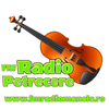 undefined Radio Petrecere