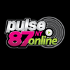 undefined pulse87 NY