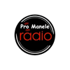 undefined Radio Pro Manele 