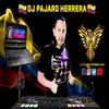 undefined Remix con Dj Pajaro Herrera