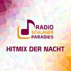 undefined Radio Schlagerparadies - Hitmix der Nacht