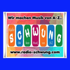 undefined Radio-Schwung