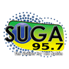 undefined SUGA 95.7 FM WSGD-LP RADIO 