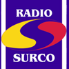 undefined Radio Surco 90.1 FM