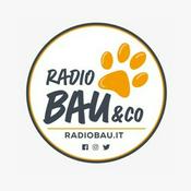 Radio Radio Bau & Co