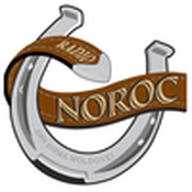 Radio Radio Noroc