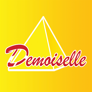 Escucha Demoiselle FM en la aplicación