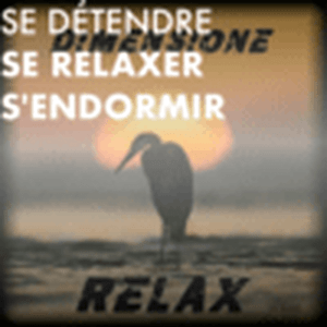 Escucha Se détendre, se relaxer, s'endormir avec Radio Dimensione Relax en la aplicación