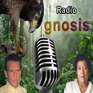 Escucha Radio Gnosis en la aplicación