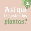 undefined ¿Así que te gustan las plantas?