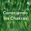 undefined Conociendo los Chakras