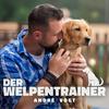 undefined Der Welpentrainer - Der Podcast mit André Vogt