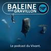 undefined Baleine sous Gravillon