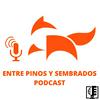 undefined Entre pinos y sembrados Podcast