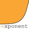 undefined Exponent