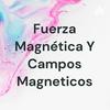 undefined Fuerza Magnética Y Campos Magneticos