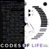 undefined Codes of Life® mit Lisa | Human Design & Astrologie Pro