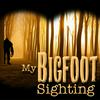 undefined My Bigfoot Sighting