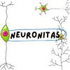 undefined Neuronitas