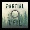 undefined Partial Veil