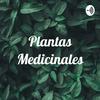 undefined Plantas Medicinales