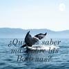 undefined ¿Quieres saber más sobre las Ballenas?