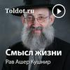 undefined Рав Ашер Кушнир  — Смысл жизни