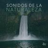 undefined Sonidos de la Naturaleza