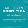 undefined Amplifying Cognition