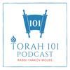 undefined TORAH 101 - With Rabbi Yaakov Wolbe