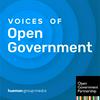 undefined Voices of Open Government