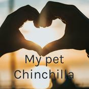 Podcast My pet Chinchilla