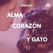 Podcast Alma Corazón y Gato - Podcast sobre gatos