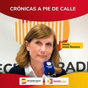 Podcast Crónicas a pie de calle