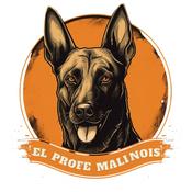 Podcast El Profe Malinois | Adiestramiento canino