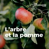 Podcast L’arbre et la pomme