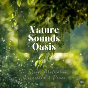 Podcast Nature Sounds Oasis | Relaxing Nature Sounds For Sleep, Meditation, Relaxation Or Focus | Sounds Of Nature | Sleep Sounds, Sleep Music, Meditation Sounds, Ocean Waves, Rain, White Noise & More