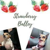 Podcast Strawberry Balley