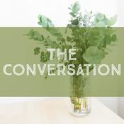 Podcast The Conversation with David and Michael