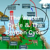 Podcast The Water Cycle & The Carbon Cycle