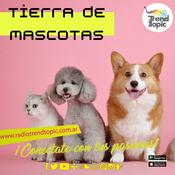 Podcast Tierra de Mascotas