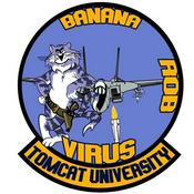 Podcast Tomcat University