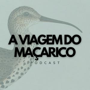 Escucha A Viagem do Maçarico en la aplicación