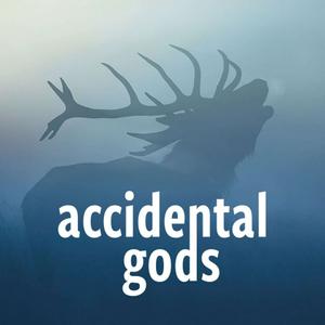 Escucha Accidental Gods en la aplicación