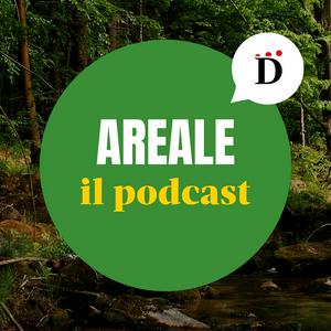 Escucha Areale en la aplicación