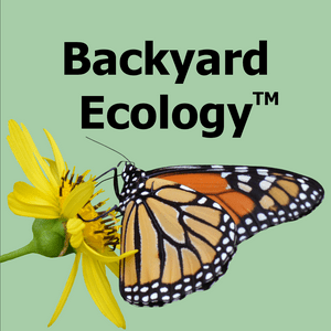 Escucha Backyard Ecology™ en la aplicación