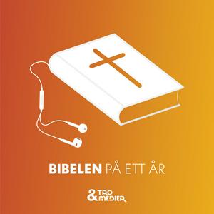 Escucha Bibelen på ett år en la aplicación