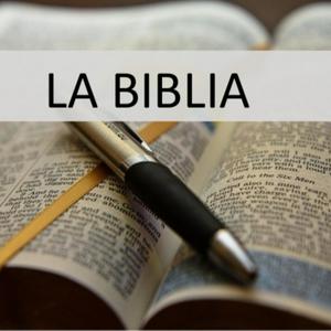 Escucha Biblia en audio en la aplicación